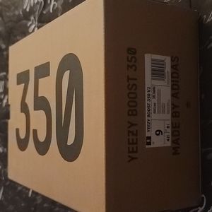 Adidas Yeezy 350 v2